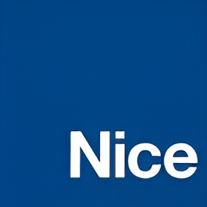 Logo Nice